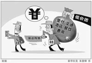 国家开展导游自由执业后，导游服务的未来变革与影响